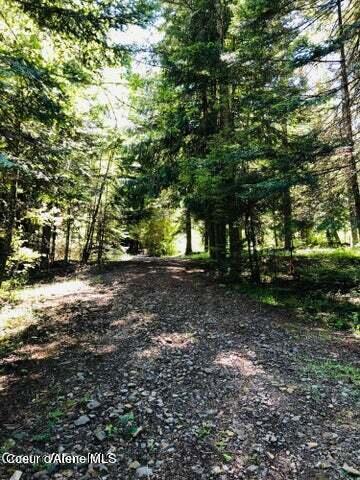 Image 4: Access road
