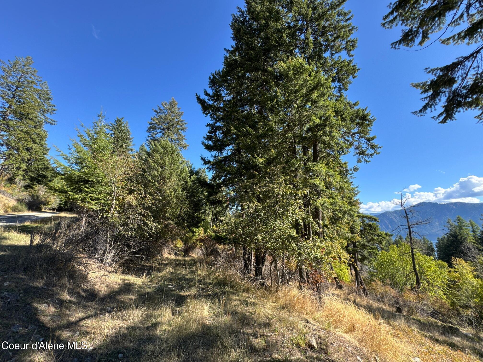 Image 4: L21 & L22 N TERRACE DR, Bayview, ID