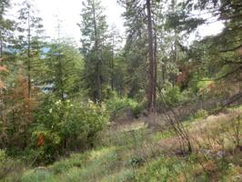NNA GLACIER LOOP