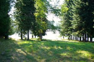 Lot 1 Sandy Beach Ln