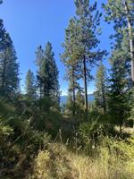 000 E Driftwood Heights NKA Dr