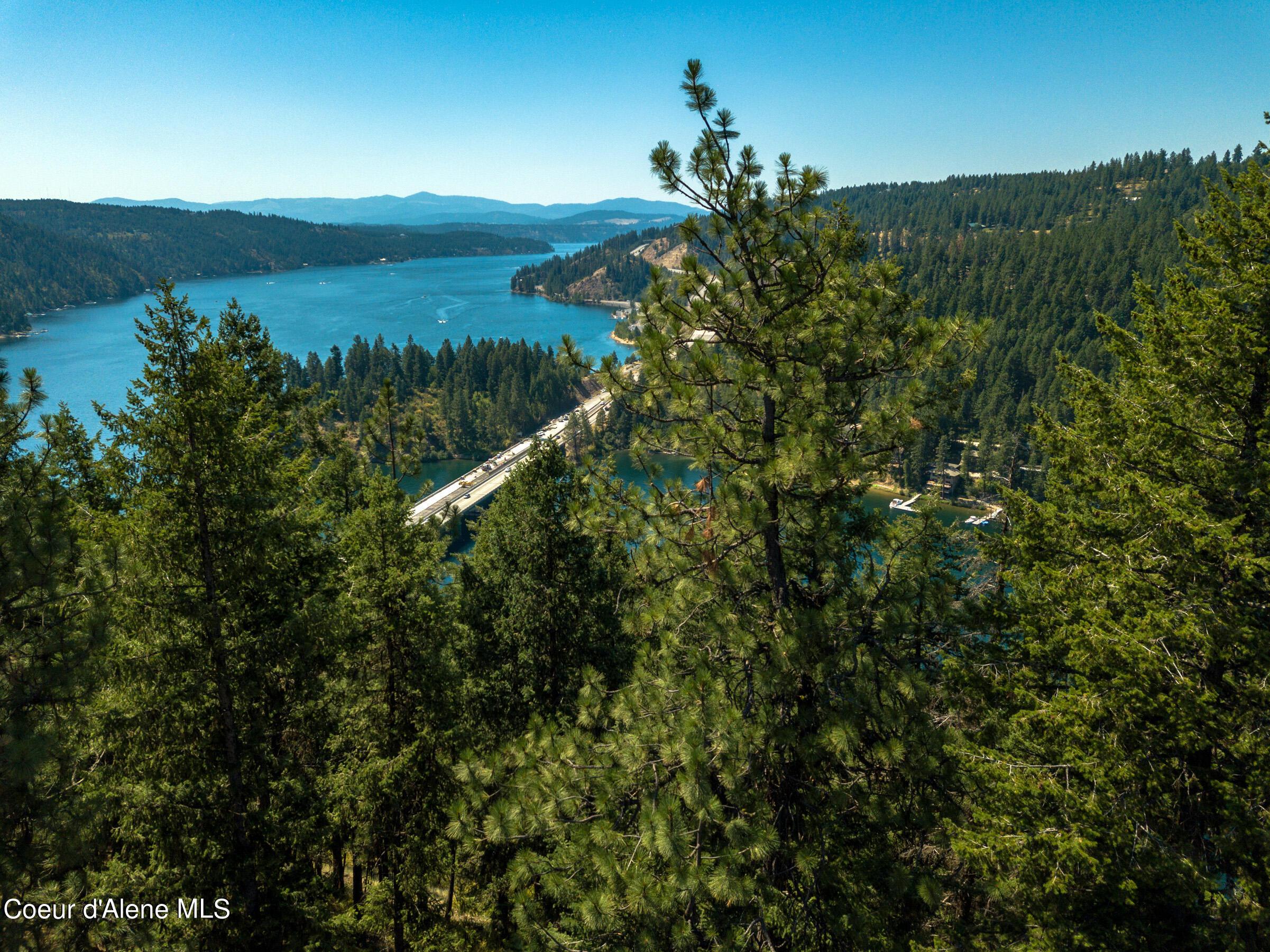 Image 4: Dense Tree and Lake