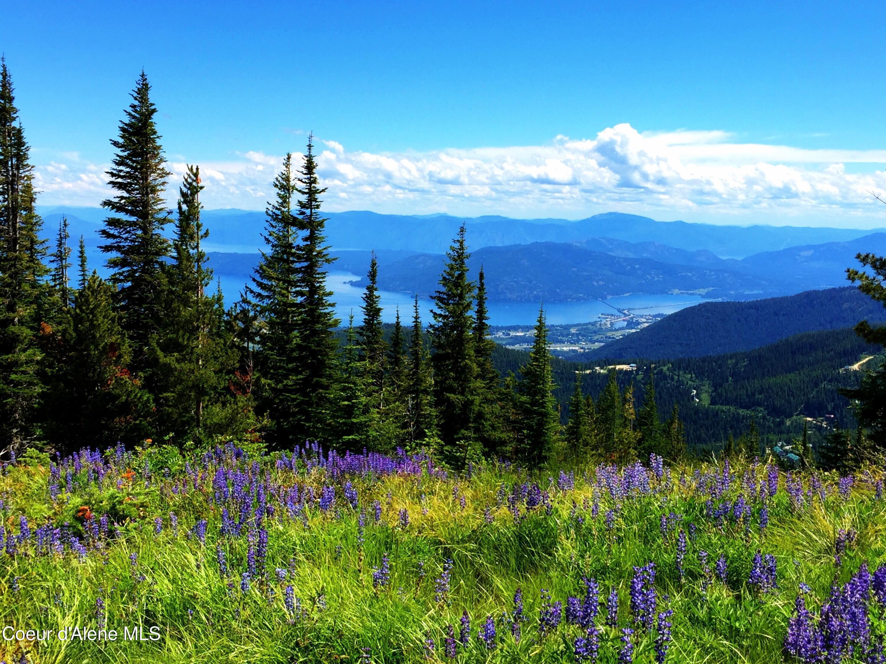 Image 4: Schweitzer Lifestyle