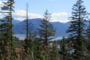 6A O'Neill Mountain Road