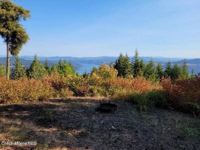 10 Acres Bill Morris Rd