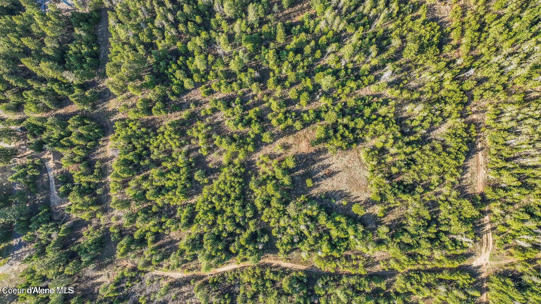 Image 2: 20240222174640040393000000-o