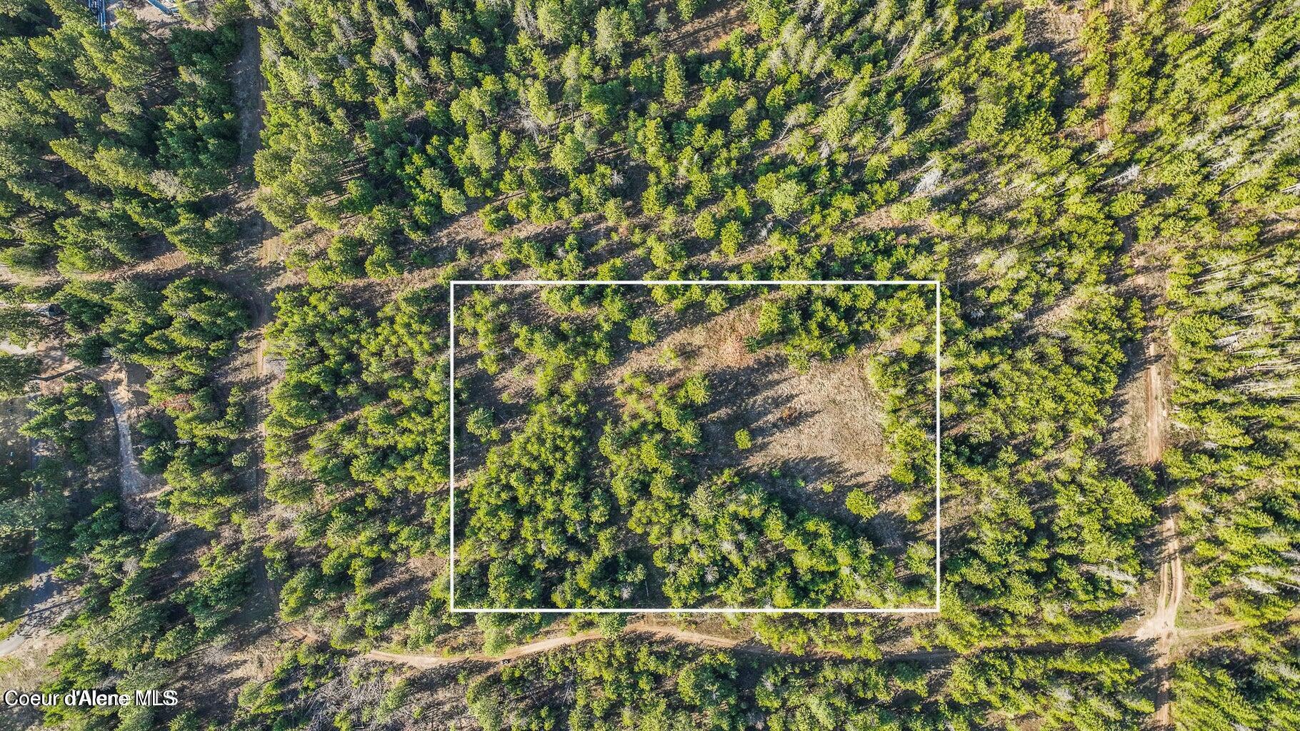 Image 3: 20240222175116533346000000-o