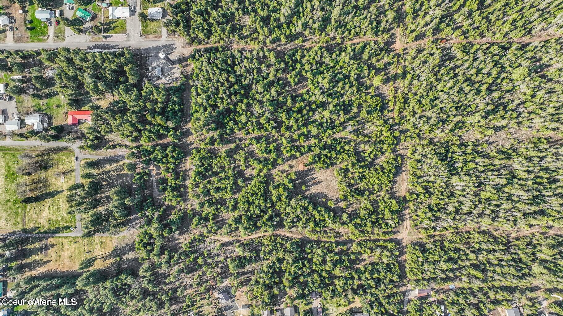 Image 4: 20240222174642672864000000-o