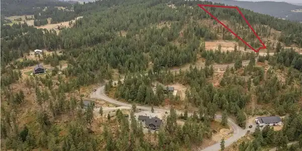 Image 2: Wilson.2