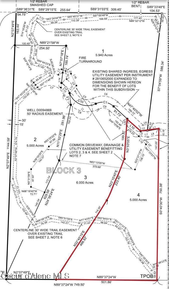 Image 3: Wilson.3