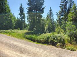 282 Butler Creek Spur