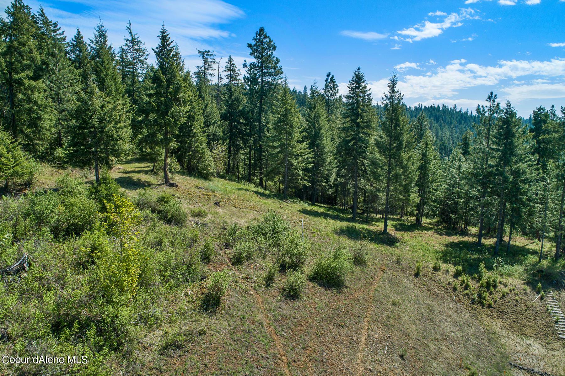 Image 3: Aerial_Gadwell_Lot149-4