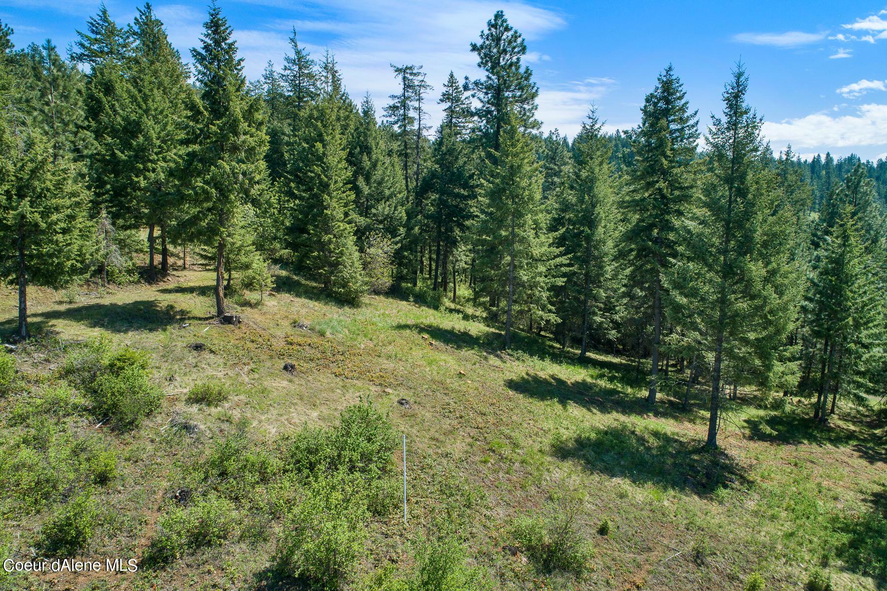 Image 4: Aerial_Gadwell_Lot149-5