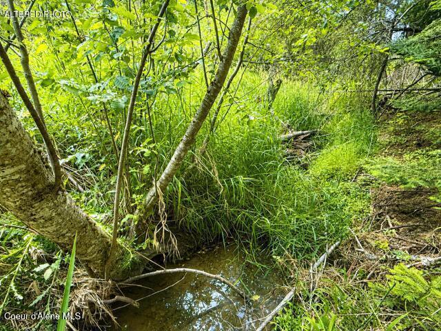 Image 4: Creek