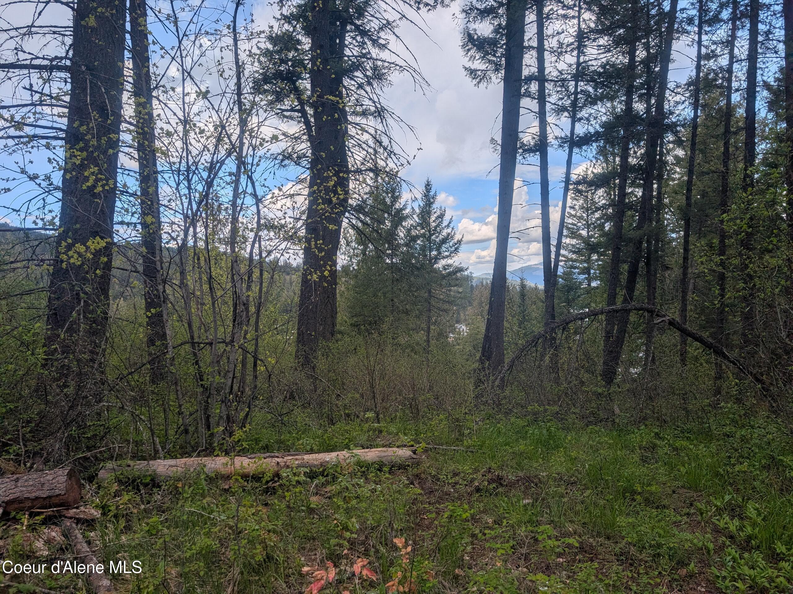 Image 4: PXL_20260427_195757737