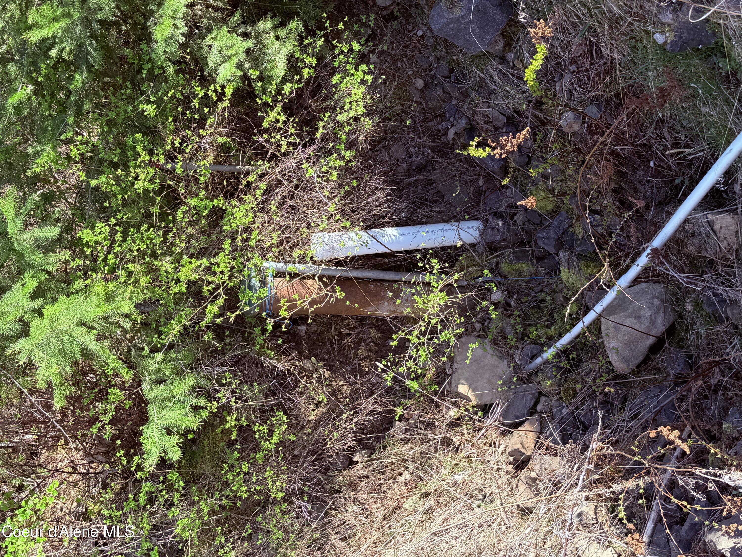 Image 2: IMG_0158