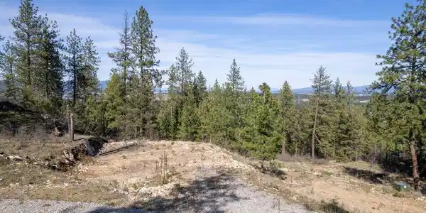 Image 2: 018-WalkinshawLots34-CoeurdAlene-ID-8381