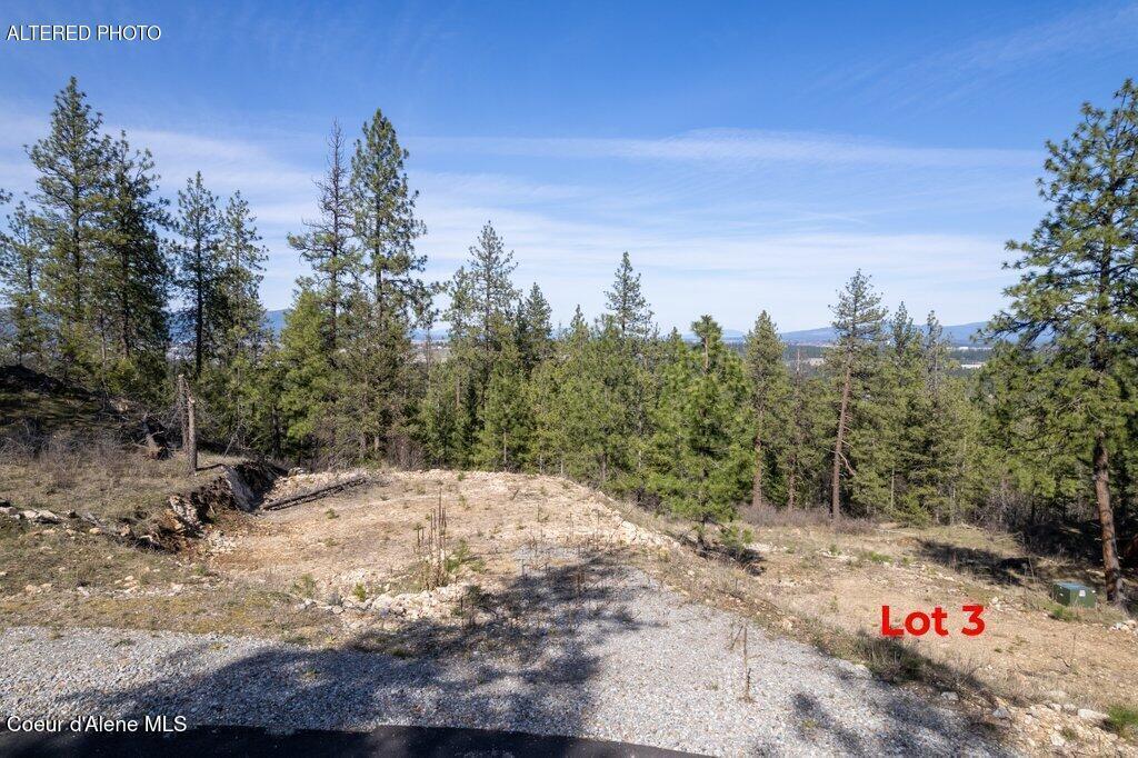 Image 3: 019-WalkinshawLots34-CoeurdAlene-ID-8381