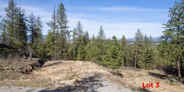 Image 3: 019-WalkinshawLots34-CoeurdAlene-ID-8381