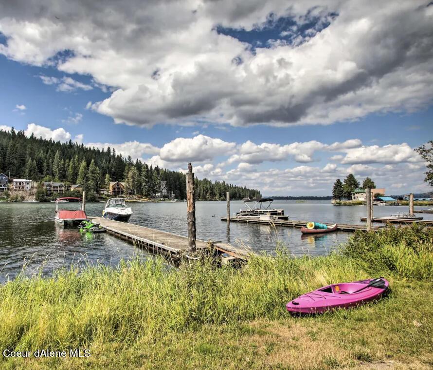 Image 2: LAKE & SIDE TIE DOCK