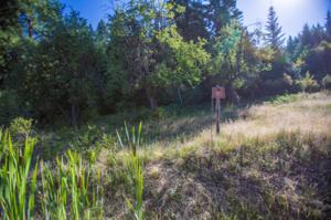 L135 E Echo Canyon Ct