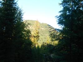 Big Buck Road