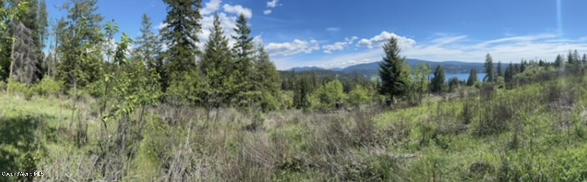 Image 2: South-facing lot with lake and mountain