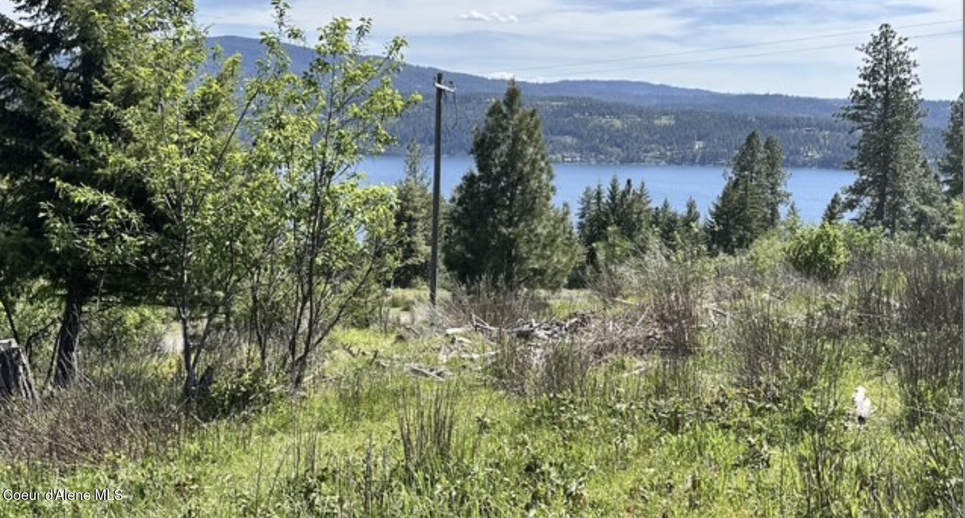 Image 4: Elevated setting overlooking the lake an