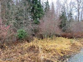 NNA (Lot 9) Cottonwood Ln