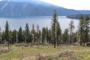 NNA Cape Horn Rd