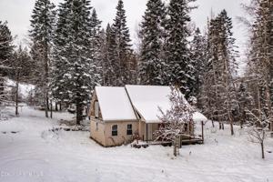 280 Birch Beauty