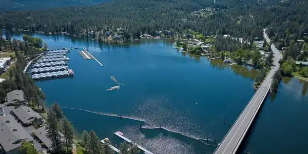Image 3: Waterfront Acreage