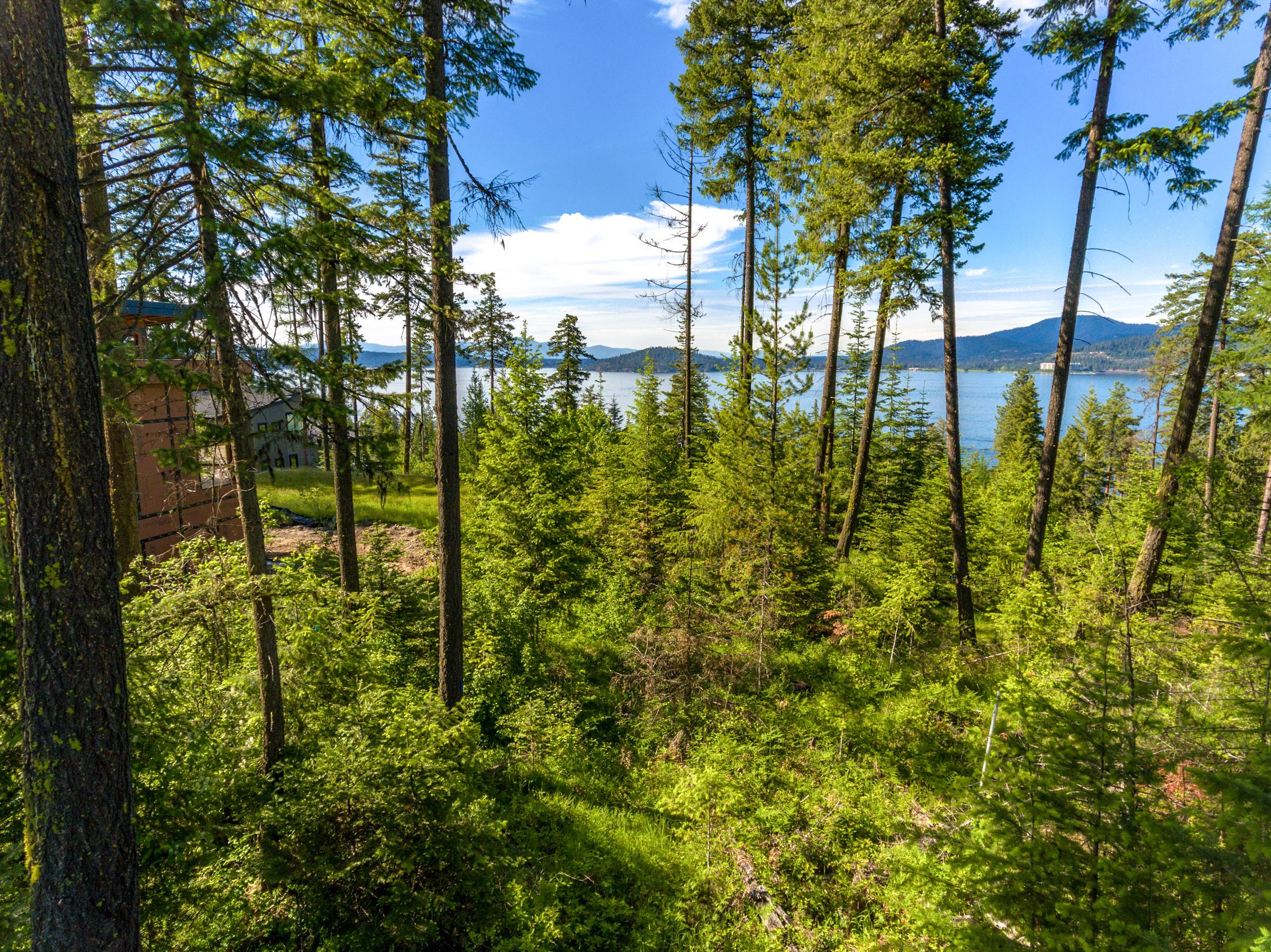 Image 3: Lot 18 3