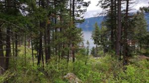 695 Glacier Loop Rd