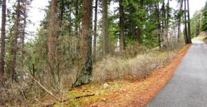 Lot 3 Winter Ridge Rd