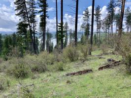 7259 S BUCKRAIL RD LOT 109