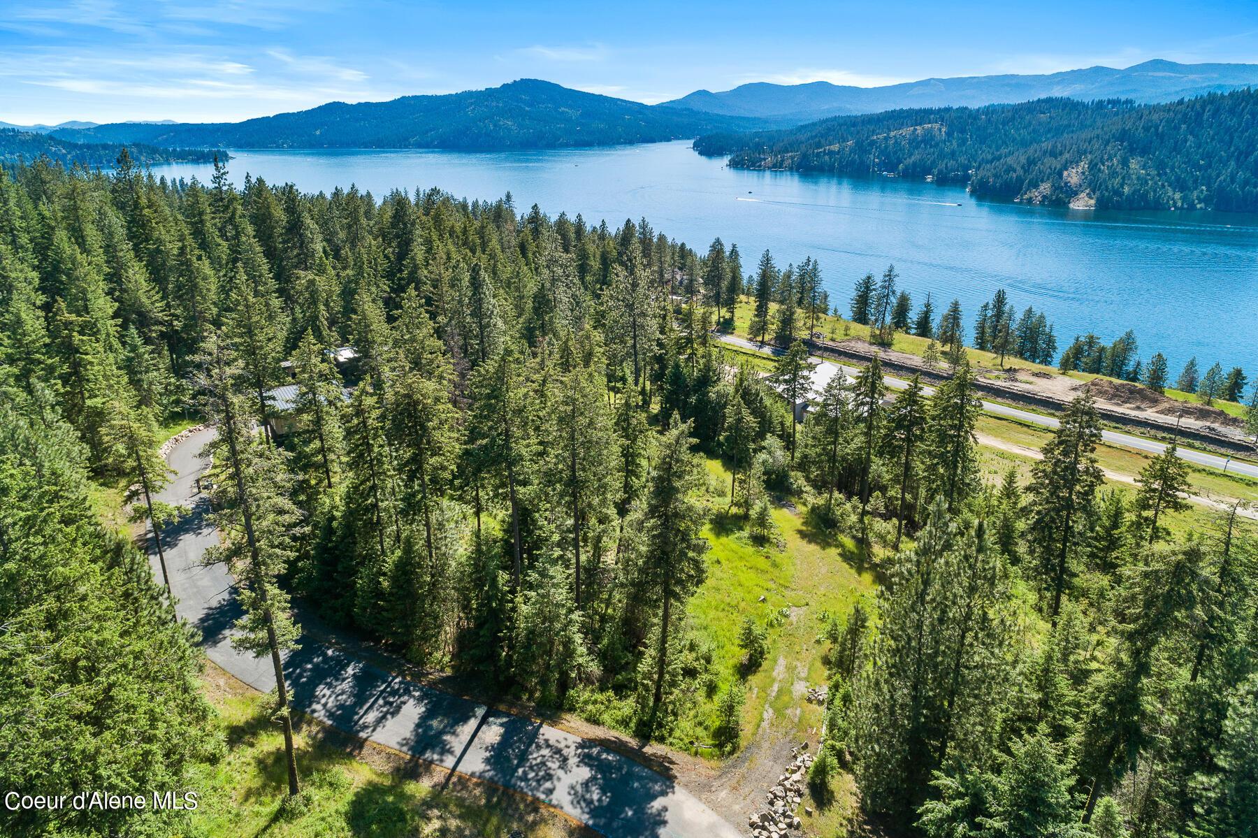 Image 2: Aerial_Lot60-1