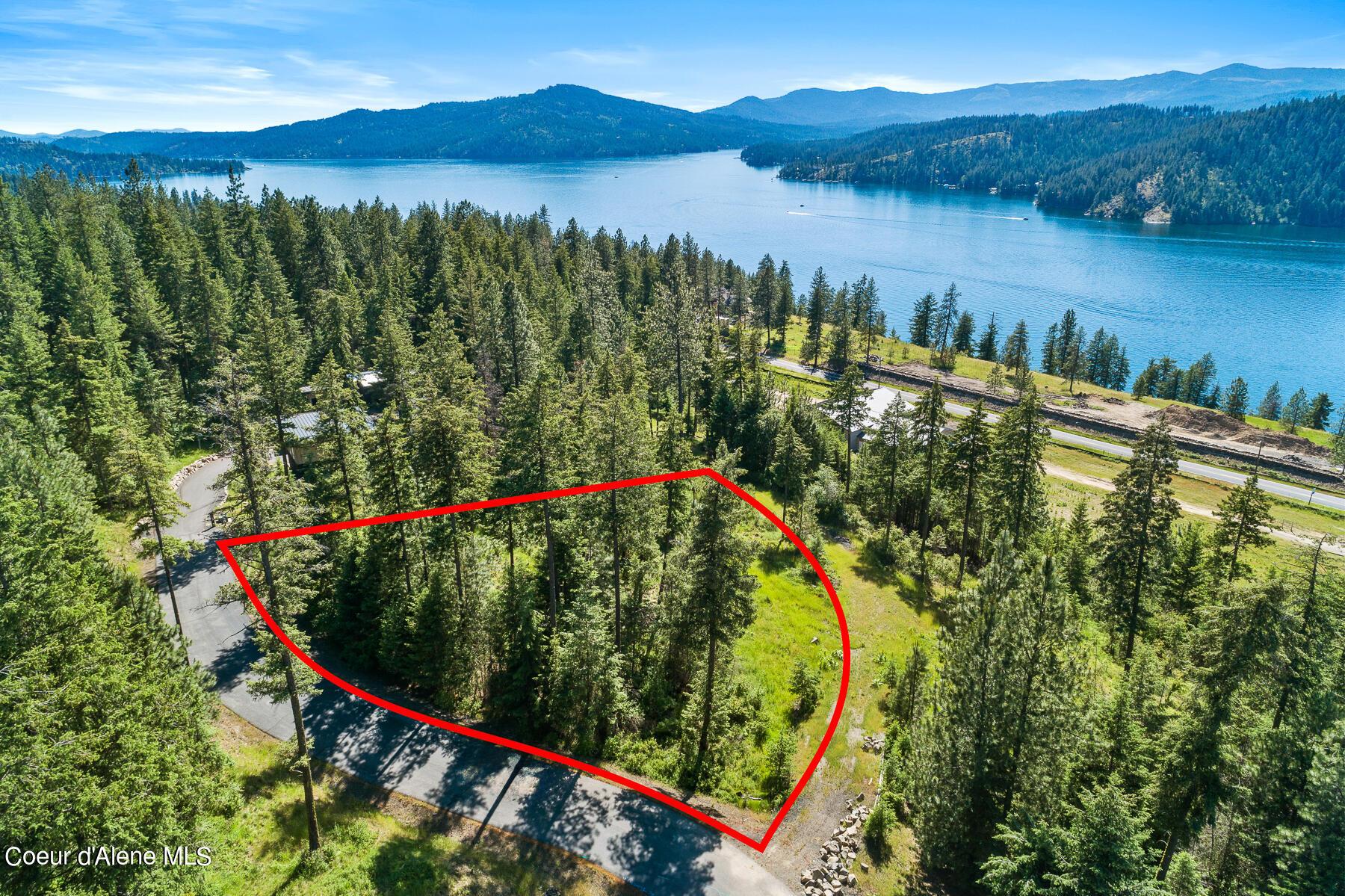 Image 3: Aerial_Lot60-1_Outlined