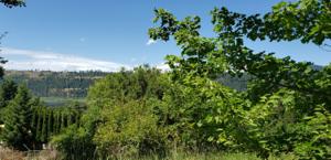 NNA E Park Ave