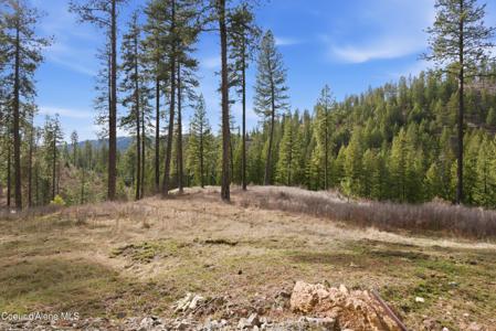 2304 S Blue Creek Rd (Lot 4)