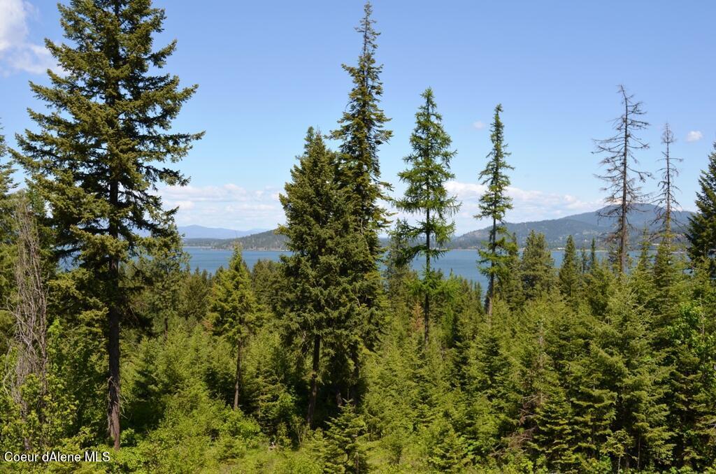 Image 3: DSC_0043