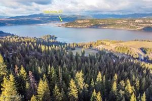 34.38 AC. S Bloomsburg Bay Rd