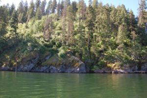 Moscow Bay Emerald Shore