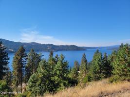 3637 Promontory