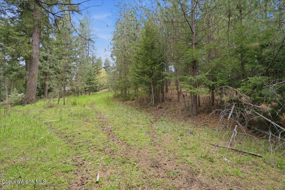 Image 2: 06-Chalet Rd
