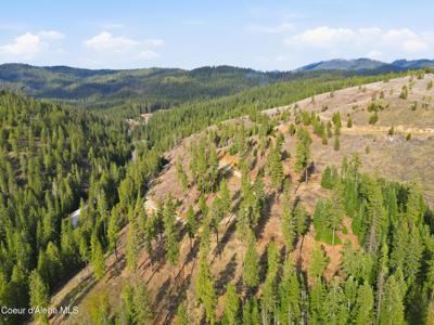 2304 S Blue Creek Rd (Lot 1)
