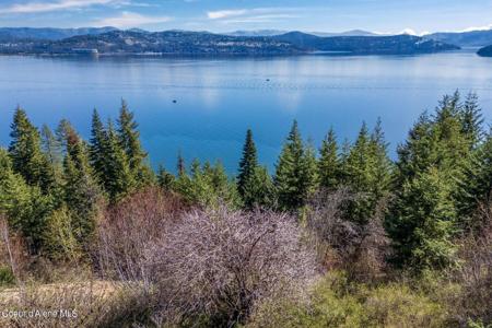 244 Harbor View
