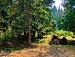 Lot 4 Martin Bay Lp