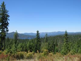 Lot 140 S Buckrail Road