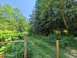 Lot 13 Big Burl Rd